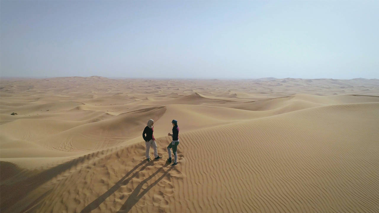 Les Emirats face au désert